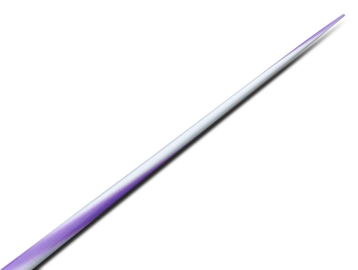 Competition Javelin Champion Carbon by Nordic - 800 g | HaeSt