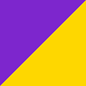 Purple-Yellow